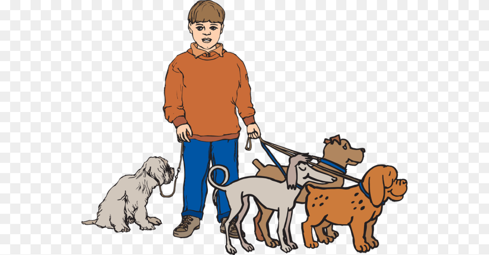 People Walking Dogs Clipart Walking Dogs Clipart, Person, Boy, Male, Child Png