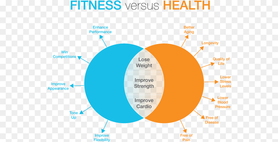 People Working Out, Diagram, Disk, Venn Diagram Free Png Download