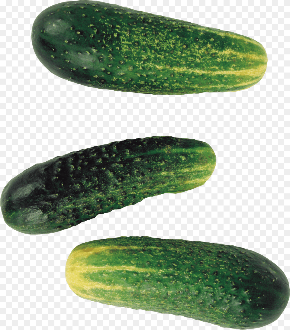 Pepino Pickled Cucumber, Food, Plant, Produce, Vegetable Png Image
