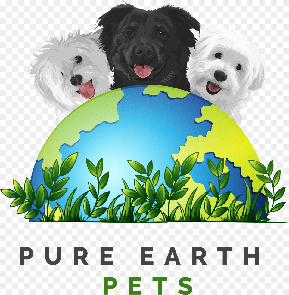 Peplogo, Sphere, Animal, Canine, Dog Png