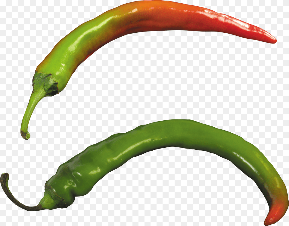 Pepper, Food, Produce, Plant, Vegetable Free Png