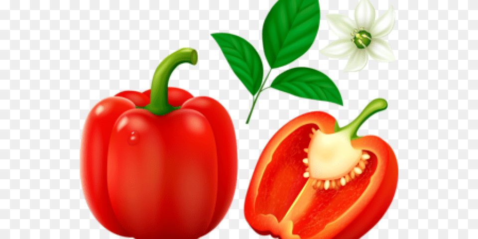 Pepper Clipart Different Kind Fruit Red Bell Pepper, Bell Pepper, Food, Plant, Produce Png