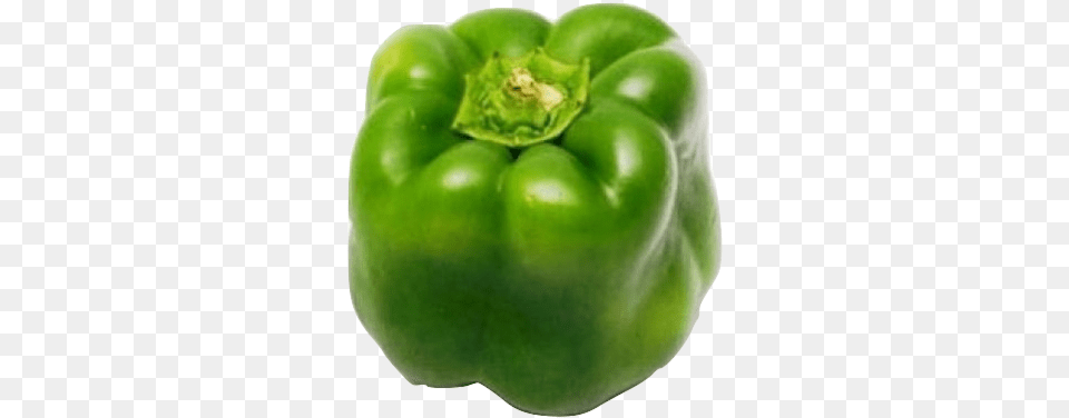 Pepper Green Jumbo 1lb Green Pepper, Bell Pepper, Food, Plant, Produce Free Png