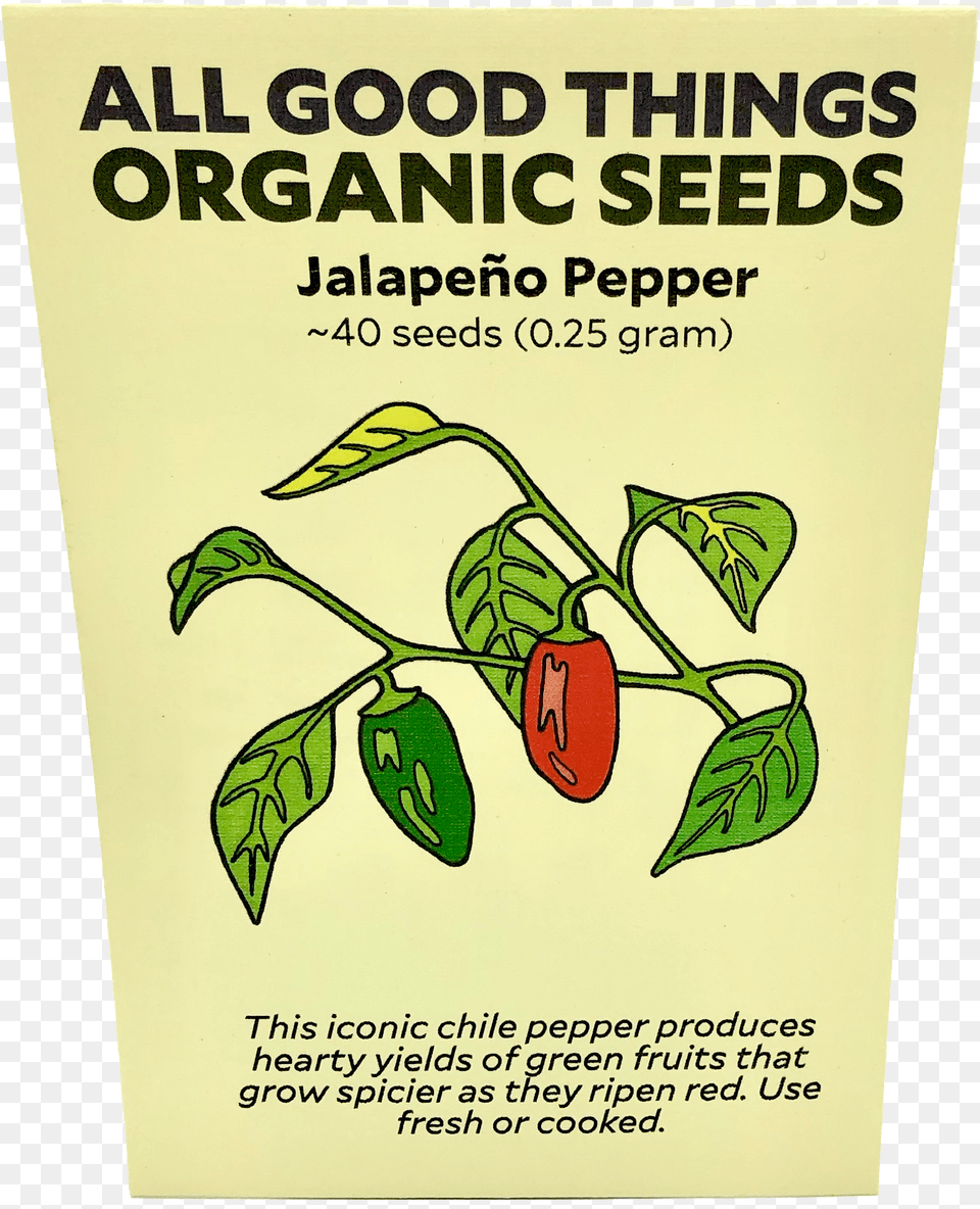 Pepper Holy Basil, Advertisement, Poster, Herbal, Herbs Free Png Download