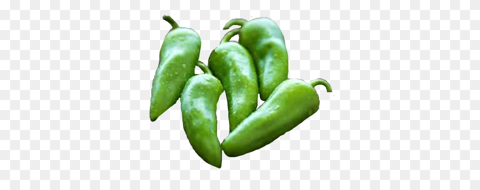 Pepper Jalapeno, Food, Produce, Plant, Vegetable Png