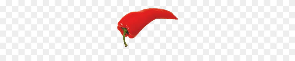 Pepper Photo Images And Clipart Freepngimg, Food, Plant, Produce, Vegetable Free Transparent Png