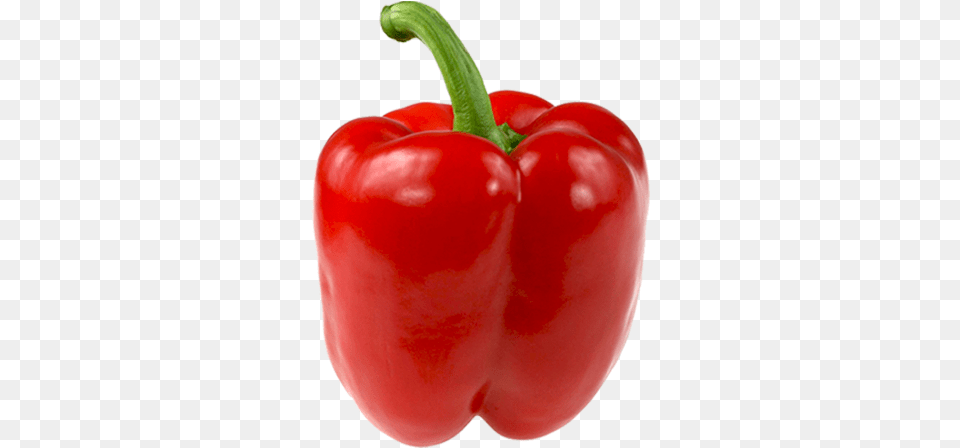 Pepper Red Each Red Capsicum, Bell Pepper, Food, Plant, Produce Png Image