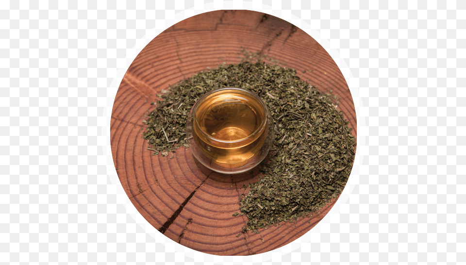 Peppermint, Herbal, Herbs, Plant, Beverage Png