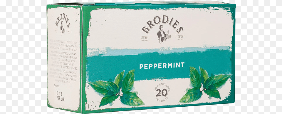 Peppermint Brodies Peppermint Tea, Herbal, Herbs, Plant, Person Free Png