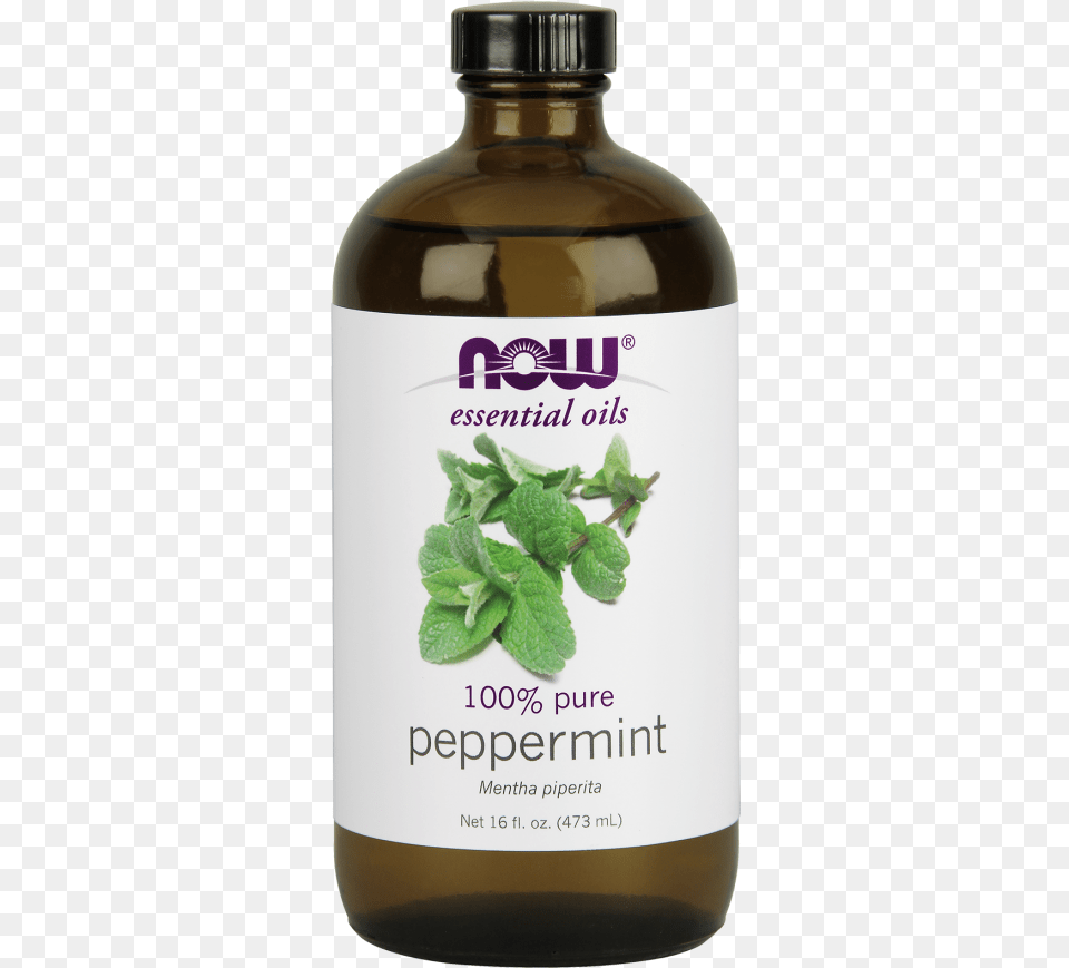 Peppermint Oil 16 Oz, Herbal, Herbs, Mint, Plant Free Transparent Png