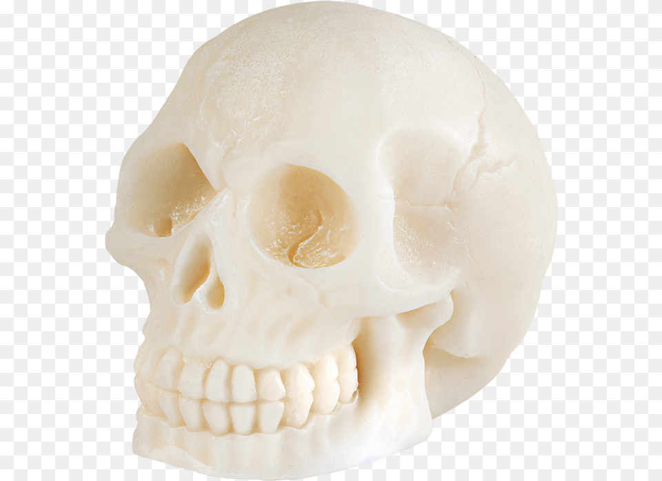 Peppermint Screamtitle Peppermint Scream Skull, Head, Person, Face, Body Part Free Png