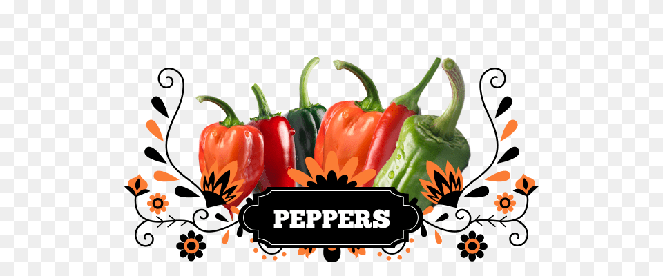 Peppers Aztec Mexican Products And Liquor Mexican Food Wholesalers, Bell Pepper, Pepper, Plant, Produce Png Image