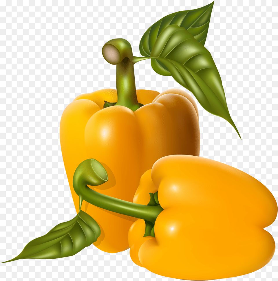 Peppers Fresh Vegetable Vector, Bell Pepper, Food, Pepper, Plant Free Png