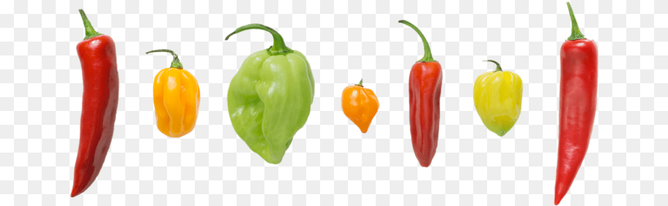 Peppers Tabasco Pepper, Food, Plant, Produce, Vegetable Png