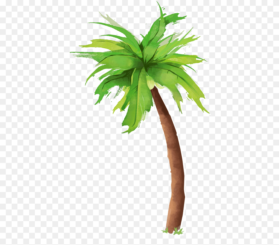 Pepsico Vita Coco, Leaf, Palm Tree, Plant, Tree Png Image