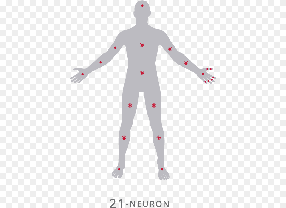 Perception Neuron V2 Perception Neuron Full Body, Person, Skin, Head, Body Part Png