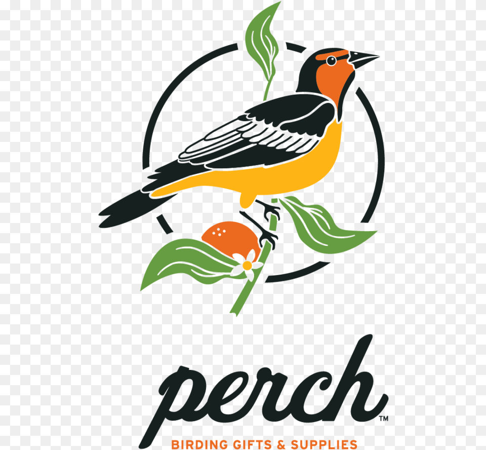 Perch Birding Gifts U0026 Supplies All Things Bird Watching Western Tanager, Animal Png