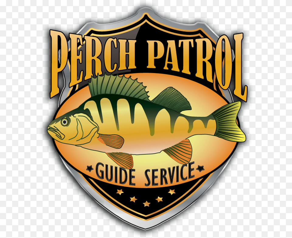 Perch Patrol Devils Lake, Animal, Sea Life, Fish, Shark Png
