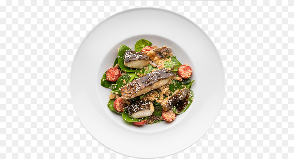 Perch Salad Il Molino, Food, Food Presentation, Plate, Meal Png Image