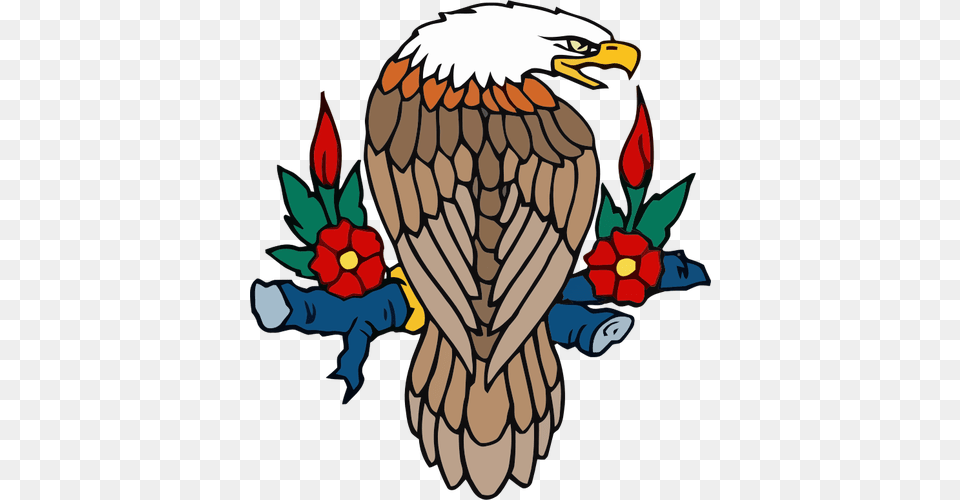 Perched Bald Eagle, Animal, Beak, Bird Png Image