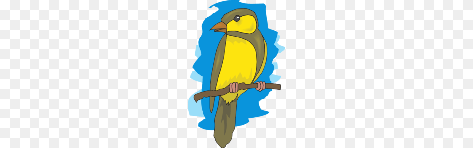 Perched Goldfinch Clip Art, Baby, Person, Animal, Bird Png Image