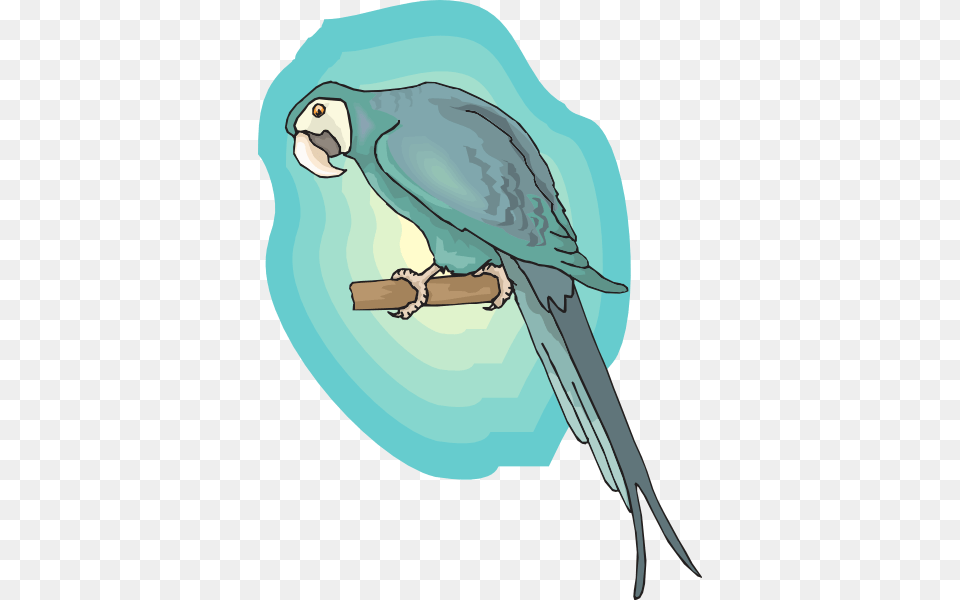 Perched Macaw Svg Clip Arts 444 X 600 Px, Animal, Bird, Parakeet, Parrot Png