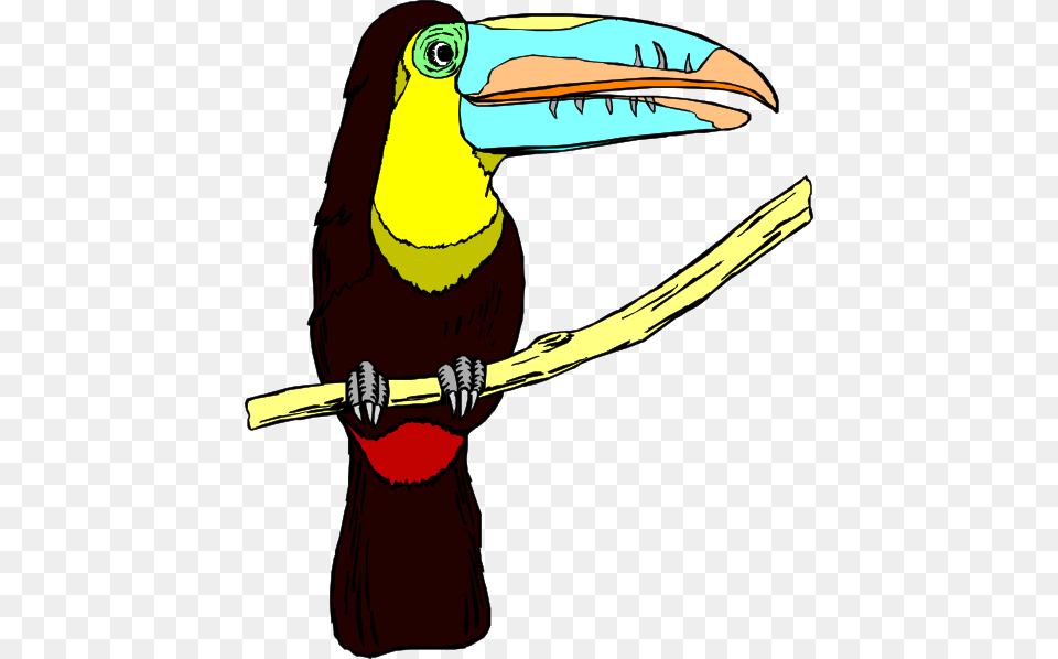 Perched Toucan Clip Art For Web, Animal, Beak, Bird Free Png
