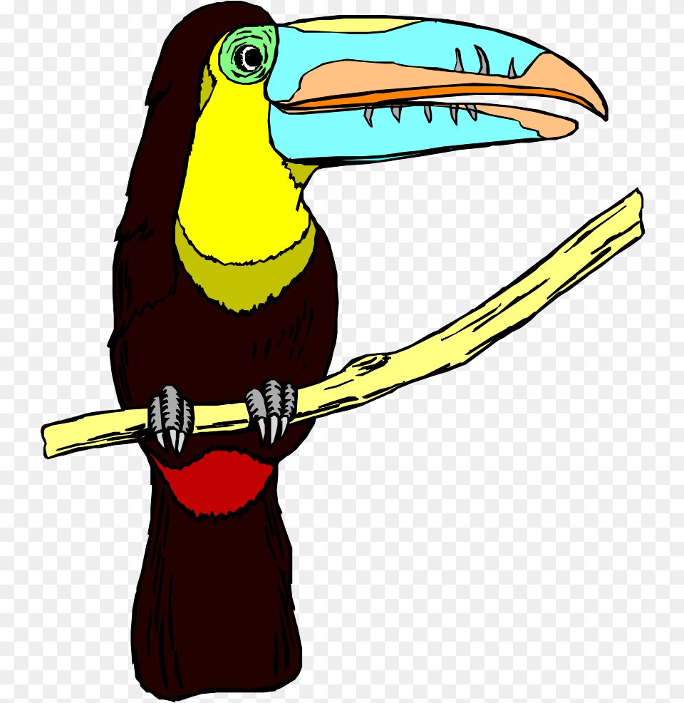 Perched Toucan Svg Clip Art For Toucans, Animal, Beak, Bird Png