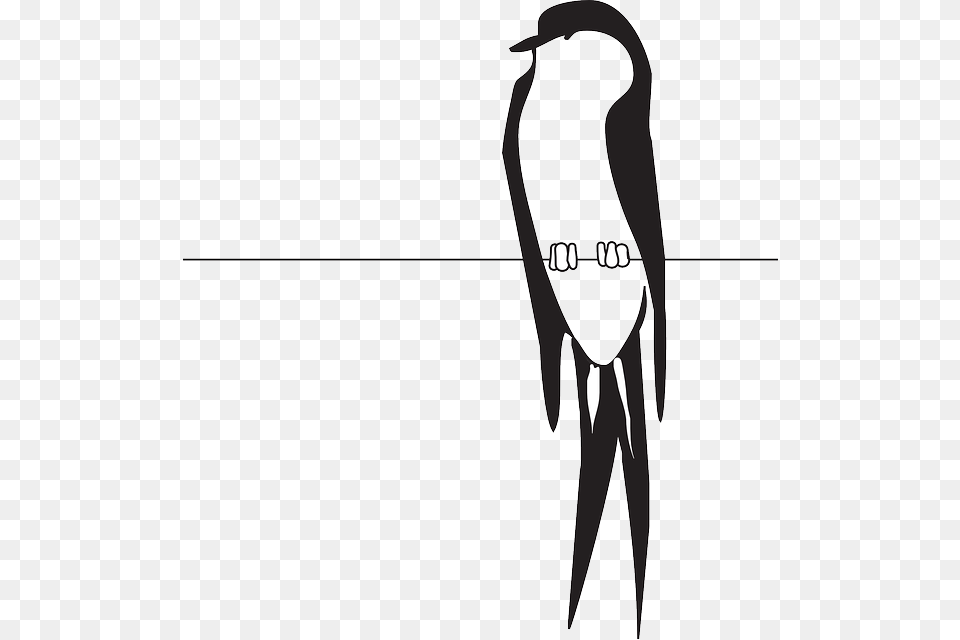 Perched Wire Bird Wings Claws Feathers Perched Bird On Wire Clipart, Animal, Swallow Free Transparent Png