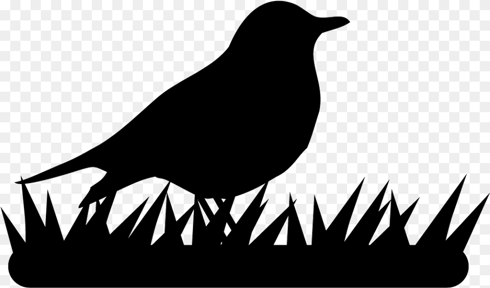 Perching Bird, Animal, Blackbird, Bow, Weapon Free Transparent Png