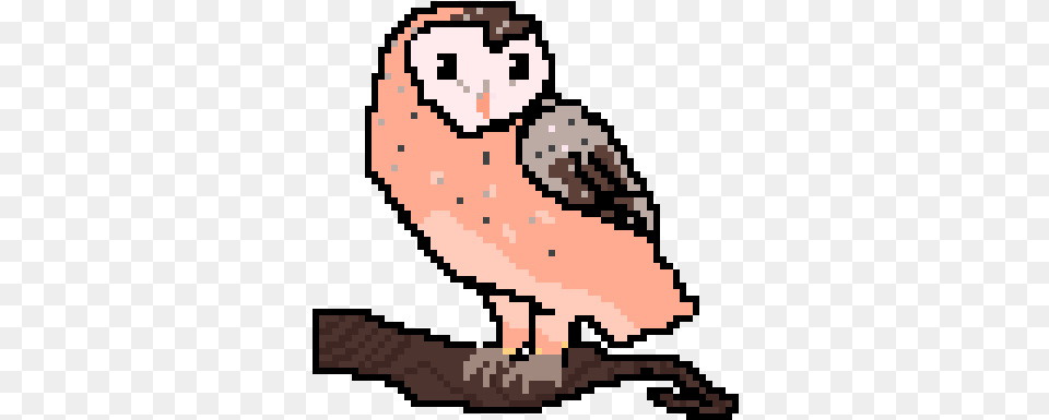 Perching Bird, Animal, Owl, Qr Code Free Png