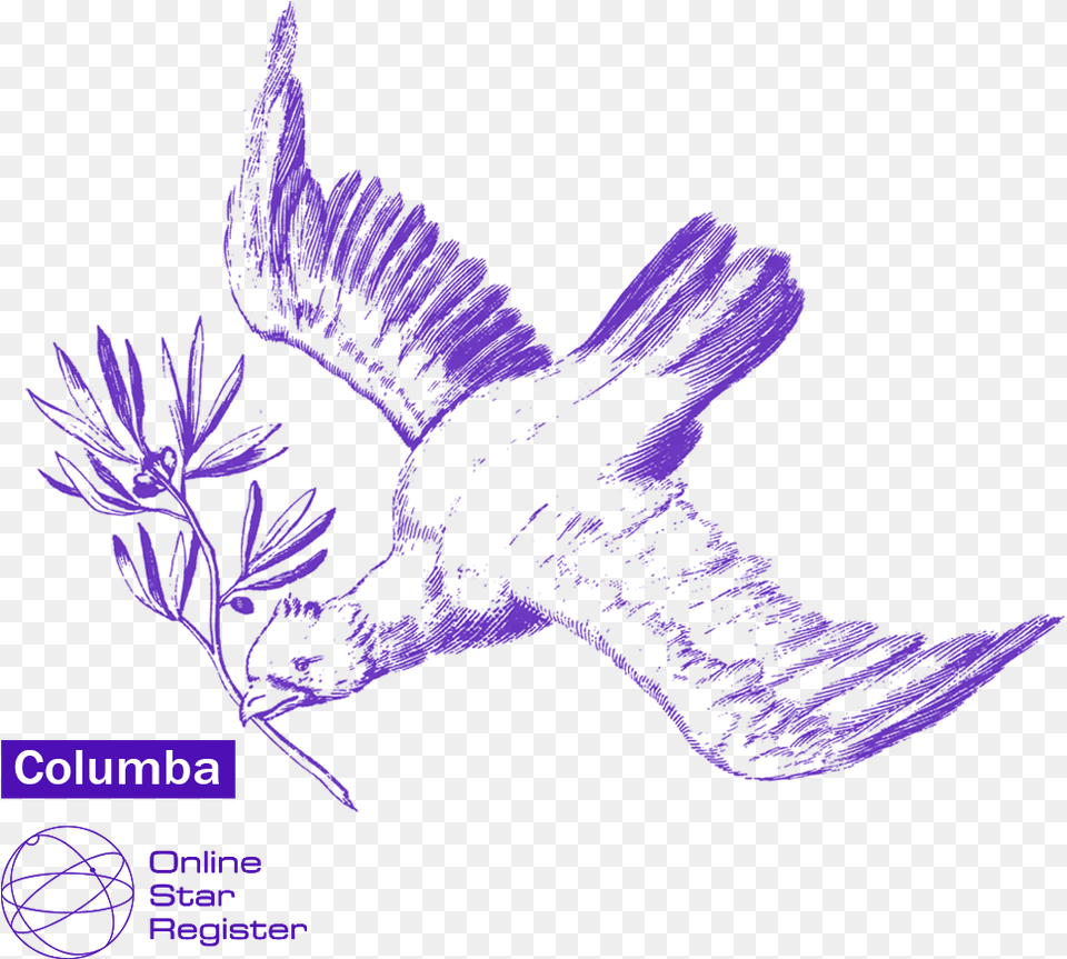 Perching Bird, Purple, Animal, Blackbird, Flower Free Transparent Png