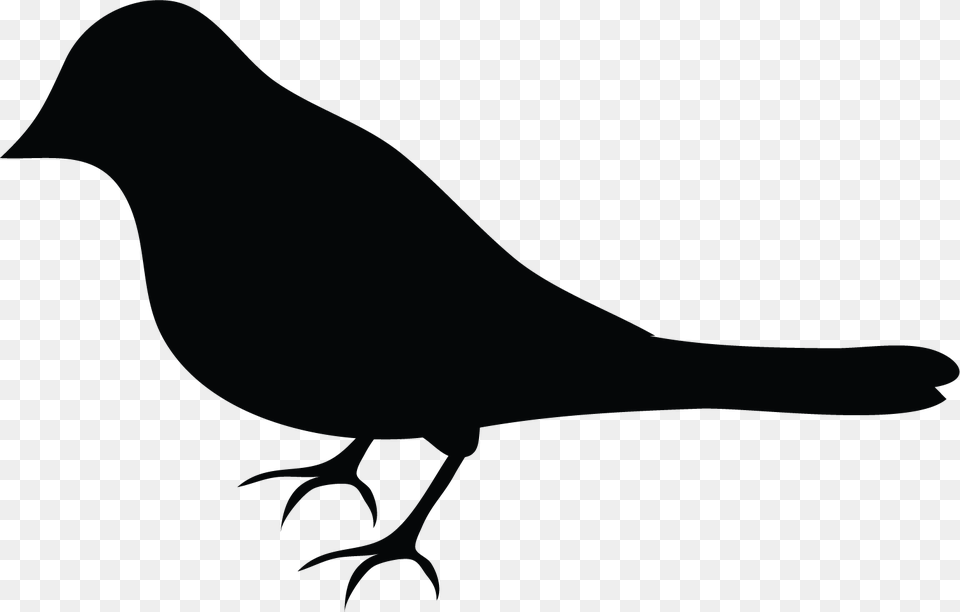 Perching Bird, Animal, Blackbird, Silhouette, Stencil Png Image