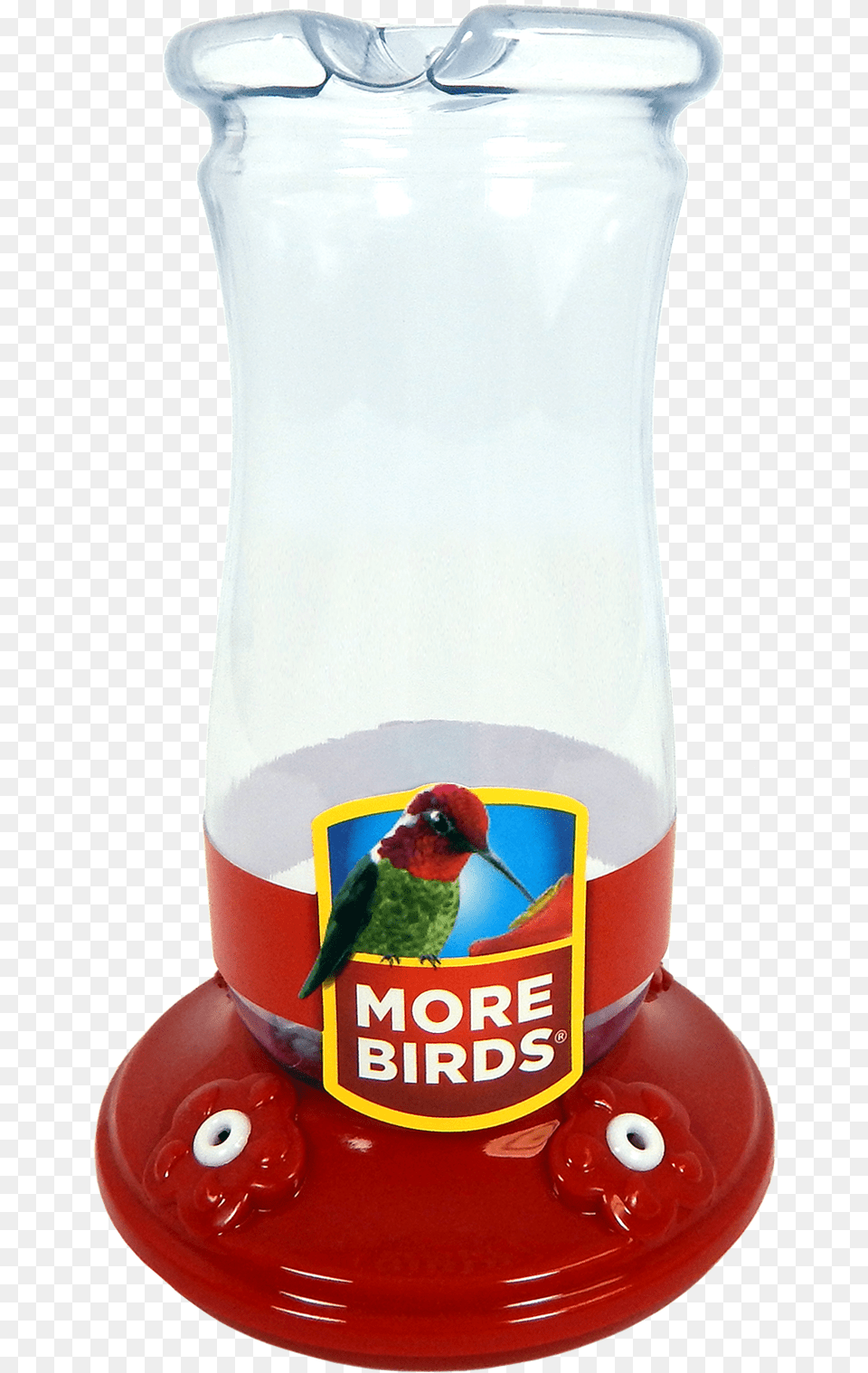 Perching Bird, Jar, Animal, Beak Png Image