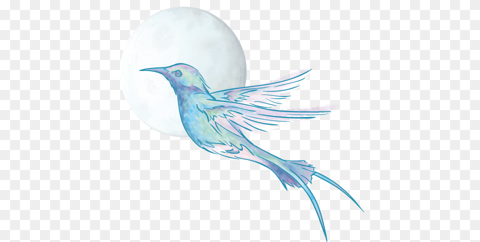 Perching Bird, Animal, Outdoors Free Transparent Png