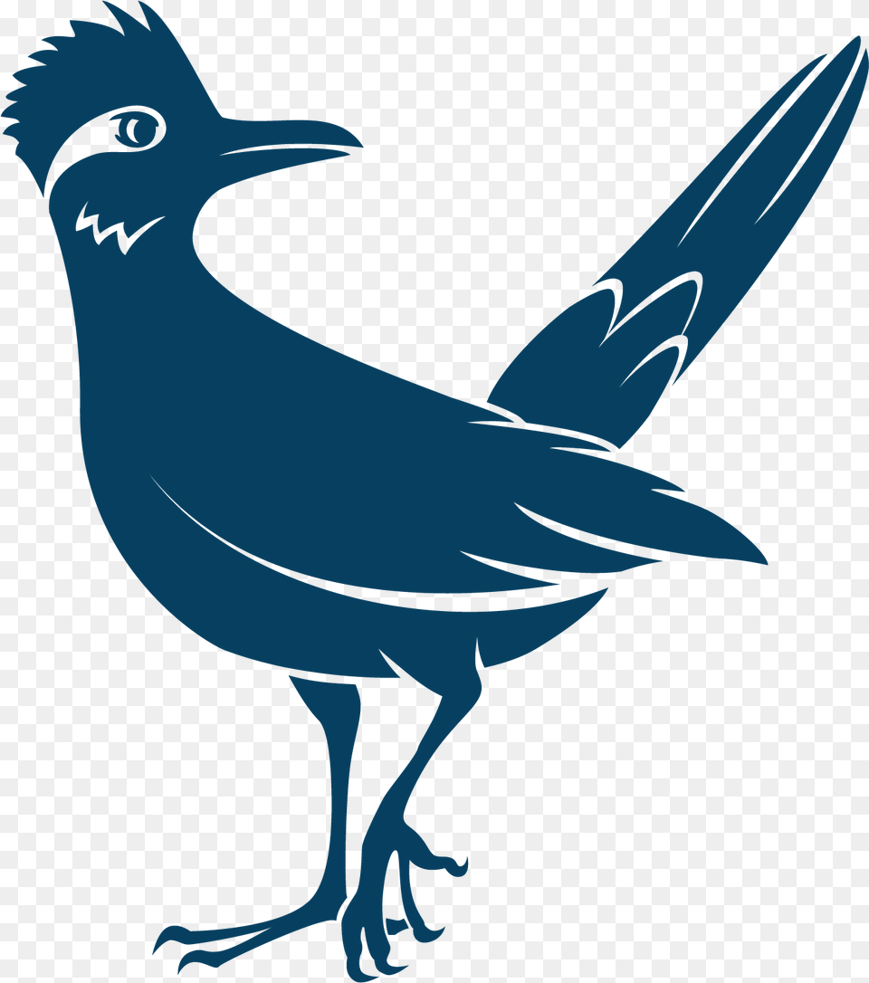 Perching Bird, Animal, Jay, Fish, Sea Life Free Png