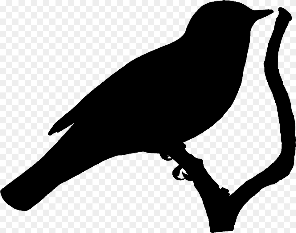 Perching Bird Silhouette, Nature, Night, Outdoors, Lighting Free Png