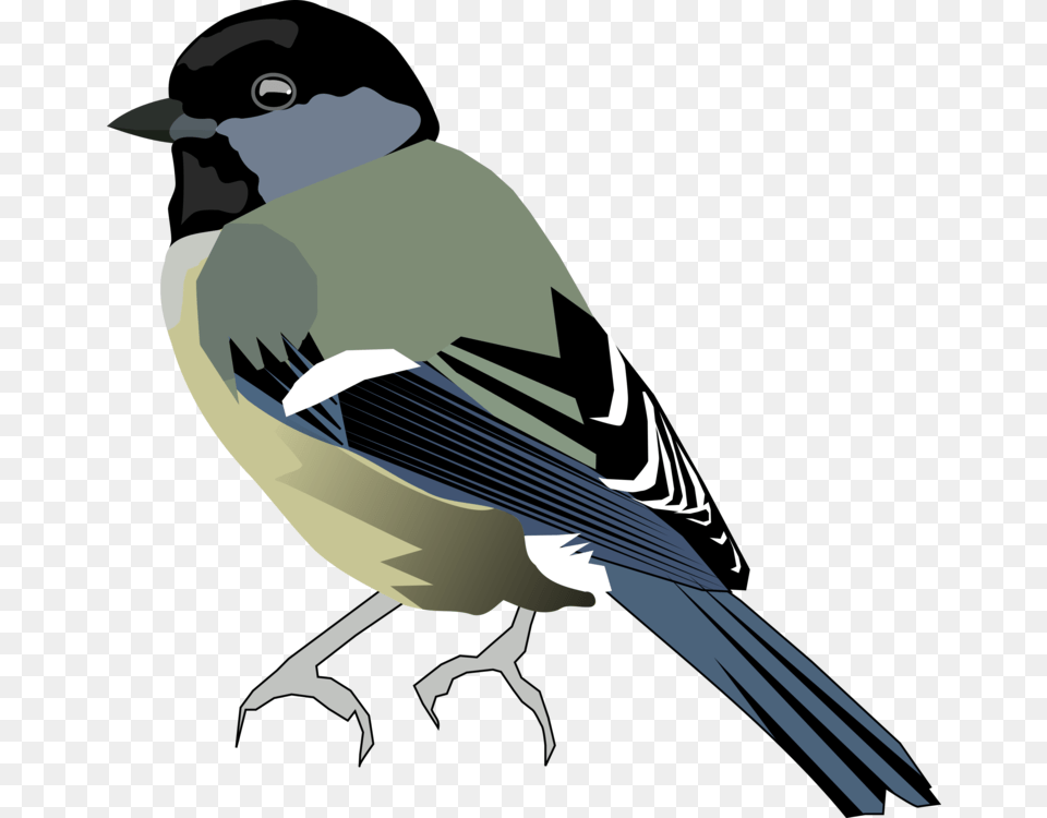 Perching Birdeurasian Magpiefinch Tit Bird, Animal, Finch, Jay Free Png