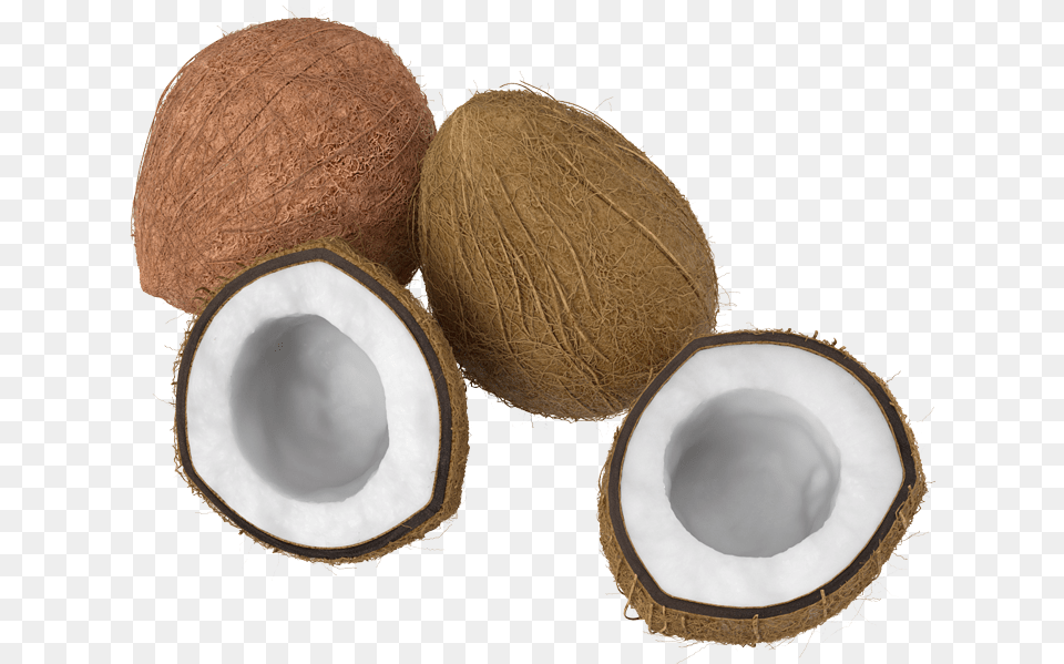 Percussion, Coconut, Food, Fruit, Plant Free Transparent Png