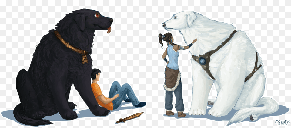 Percy Amp Korra, Person, Pet, Animal, Canine Png Image