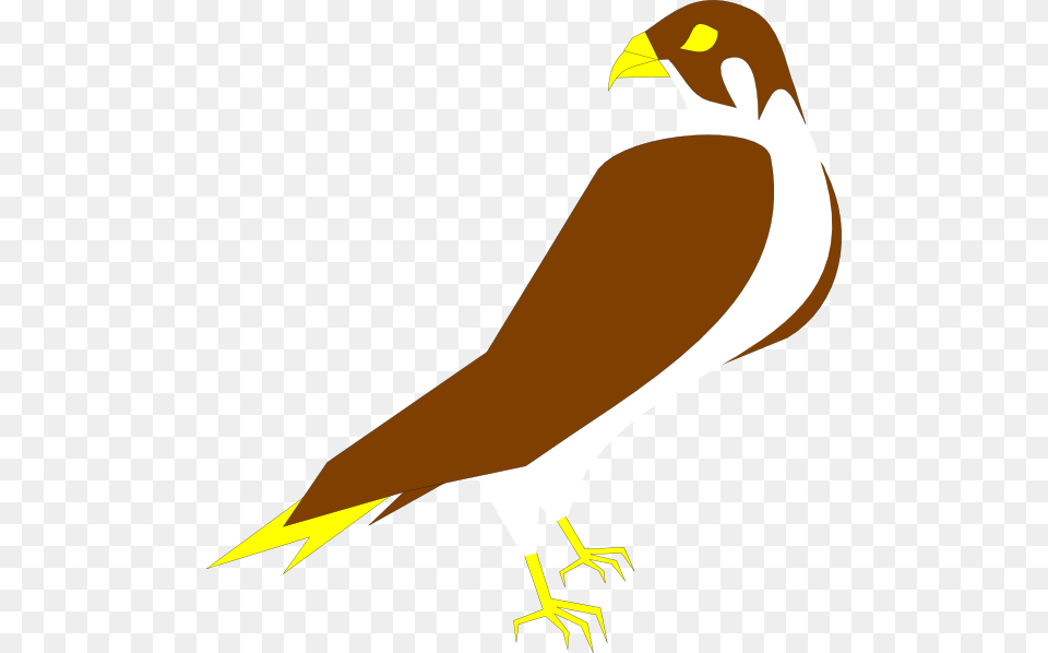Peregrine Falcon Clip Art Image, Animal, Beak, Bird, Fish Free Png