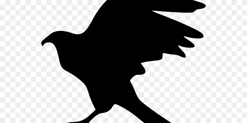 Peregrine Falcon Clipart Silhouette, Animal, Bird, Vulture, Blackbird Png Image