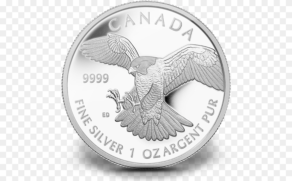 Peregrine Falcon Coin, Silver, Animal, Bird, Money Png Image