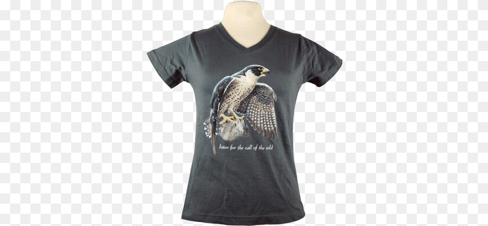 Peregrine Falcon Shirt, Clothing, T-shirt, Animal, Bird Free Transparent Png
