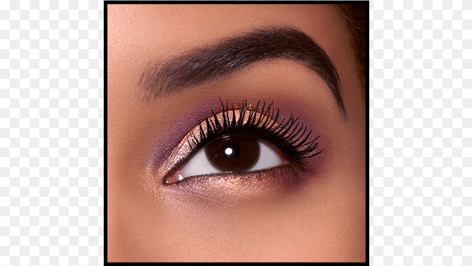 Perfect Eyebrows And Lashes With Closed Eyes Images Cosmetics, Adult, Female, Person, Woman Free Png Download
