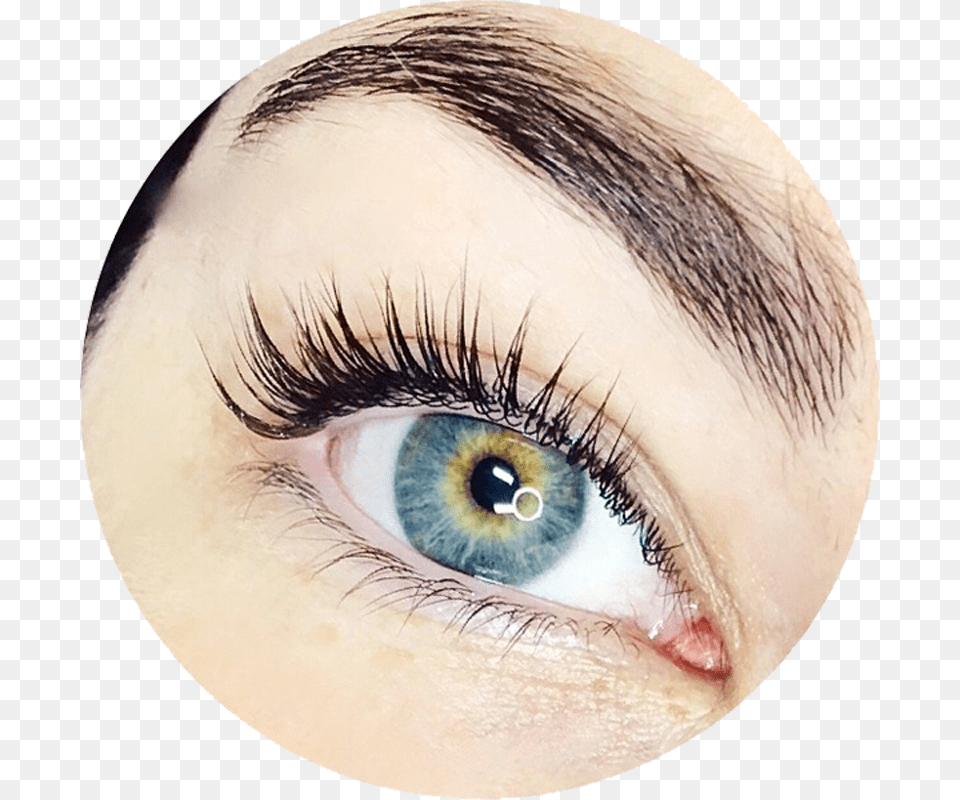 Perfect Eyebrows And Lashes With Closed Eyes Images Eyelash Extensions, Adult, Female, Person, Woman Png Image