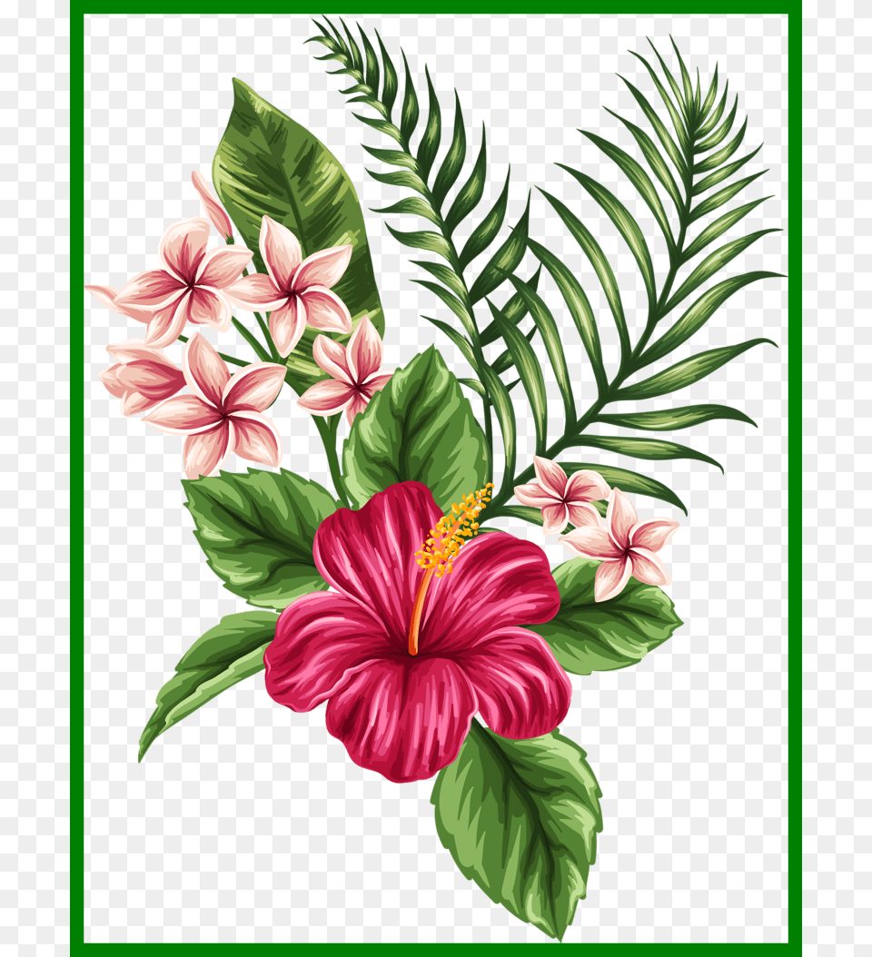 Perfect Finest Bird Of Paradise Bird Of Paradise Flower Tropical Drawing, Plant, Pattern, Hibiscus Free Transparent Png