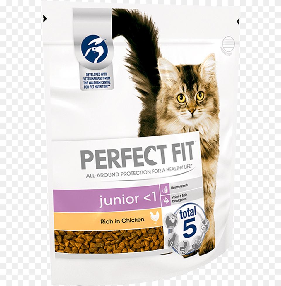 Perfect Fit Cat Food, Advertisement, Poster, Animal, Mammal Free Transparent Png