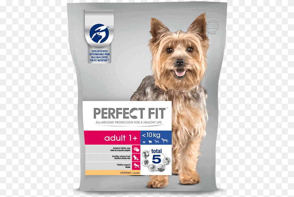 Perfect Fit Dog Food, Advertisement, Poster, Pet, Mammal Free Png Download