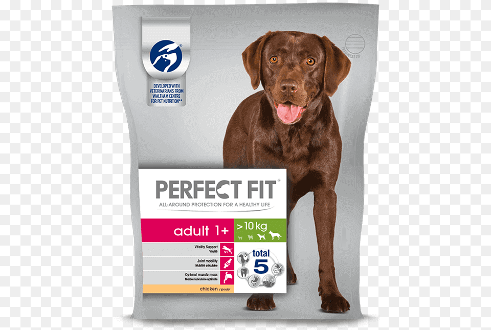 Perfect Fit Dog Food, Advertisement, Poster, Animal, Canine Free Png